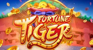 521 bet